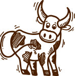 Milk & Beef Cows